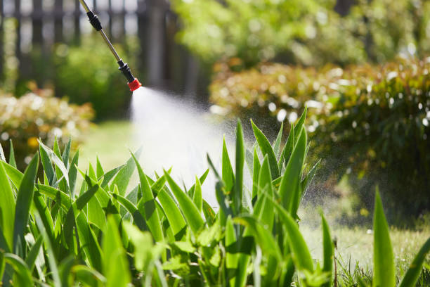 Tamper-Resistant Bait Stations for Rodents in Black River Falls
