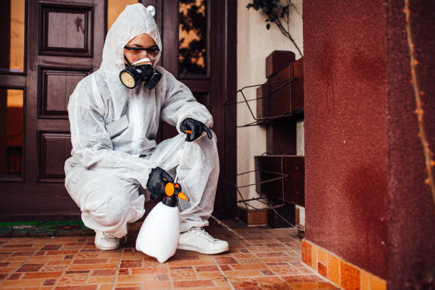Attic and Crawl Space Rodent Treatment in Black River Falls