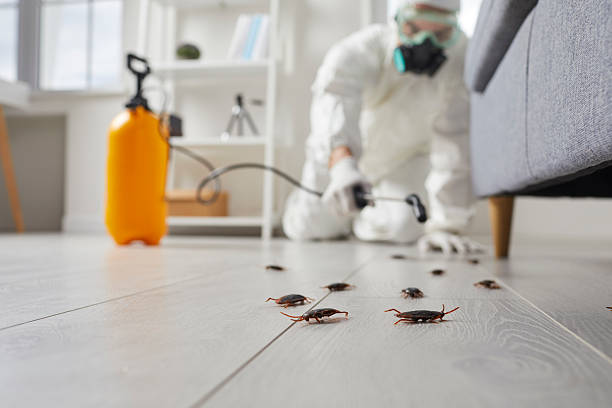 Commercial Rodent Management in Black River Falls